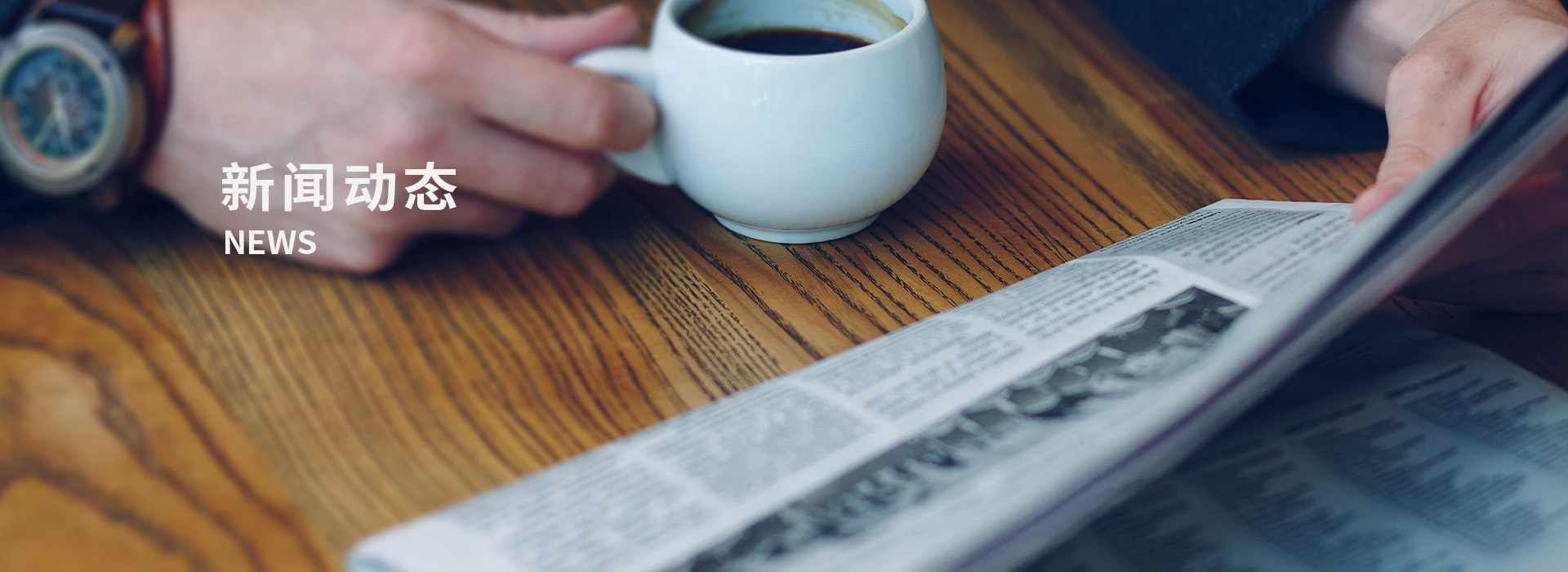 新闻动态